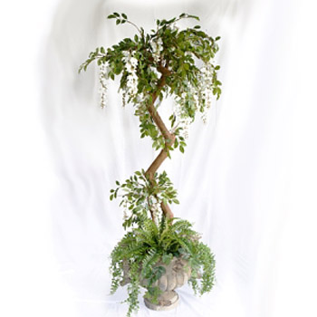 Wisteria Tree and Tuscan Urn - Idea Gallery - Flowering White Wisteria tree rental
